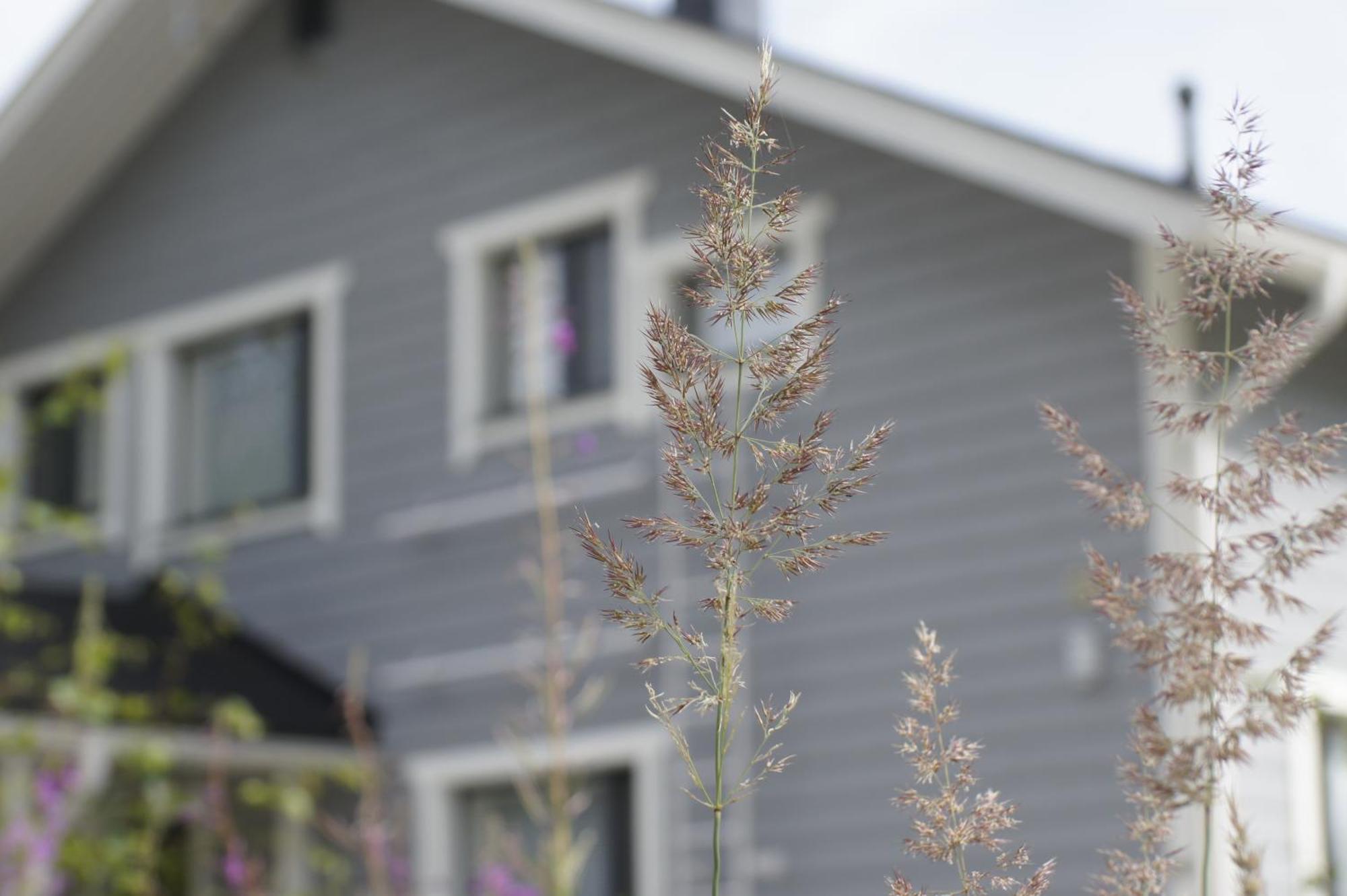 Matikkala Cottages Ruokolahti Exterior foto